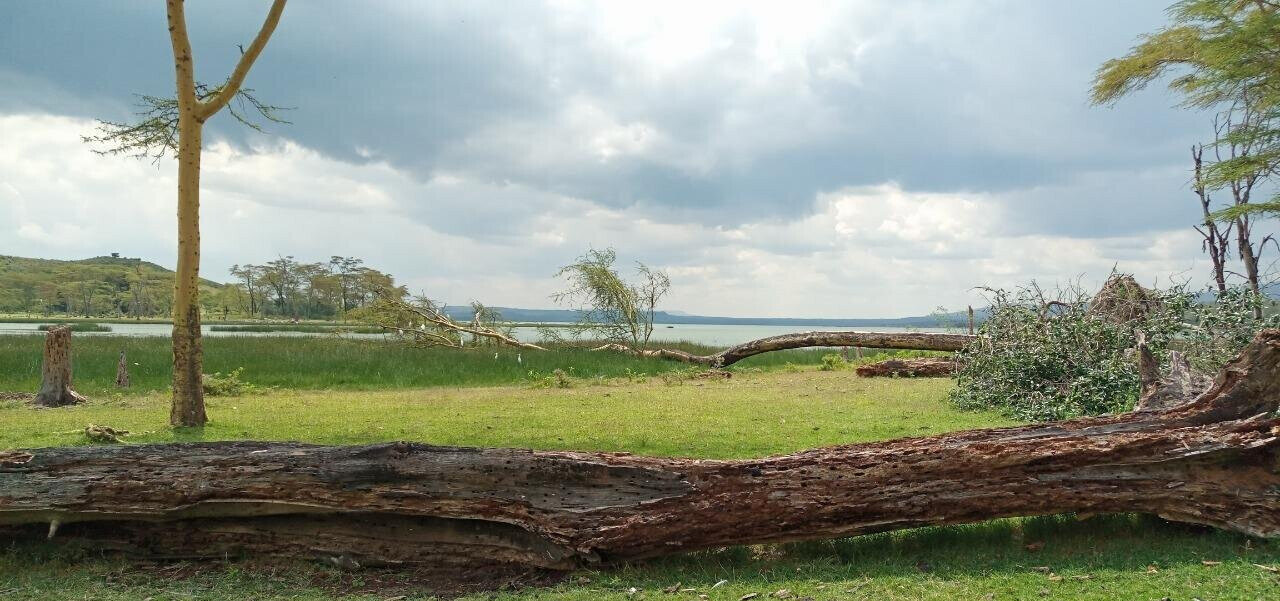 Lake Elmenteita 5-Acre Plot for KSh 30M