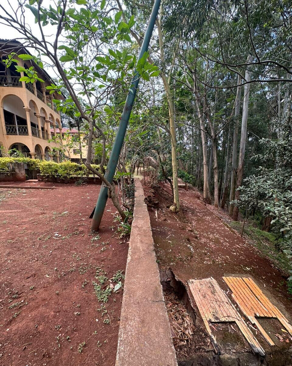 1.5-Acre Spring Valley Plot with Garden