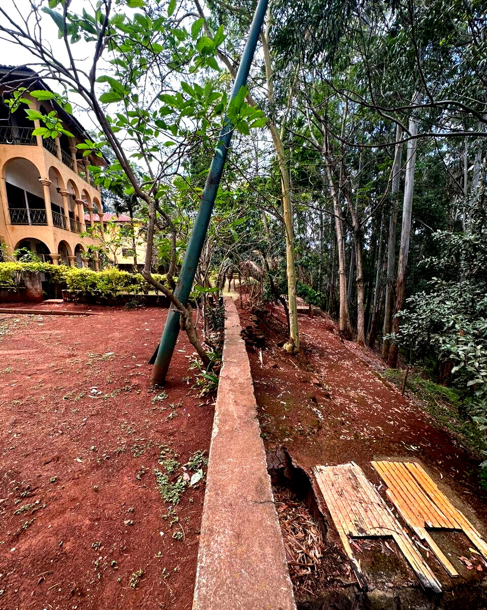1.5-Acre Spring Valley Plot with Garden