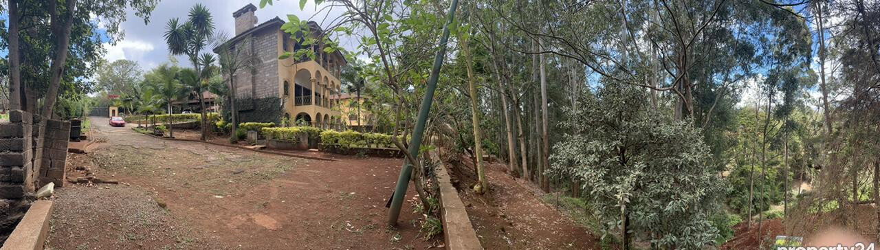 1.5-Acre Spring Valley Plot with Garden