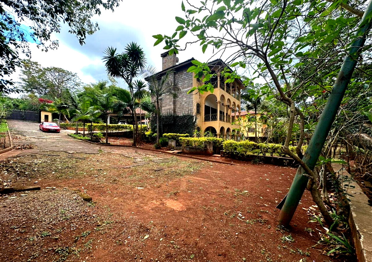 1.5-Acre Spring Valley Plot with Garden