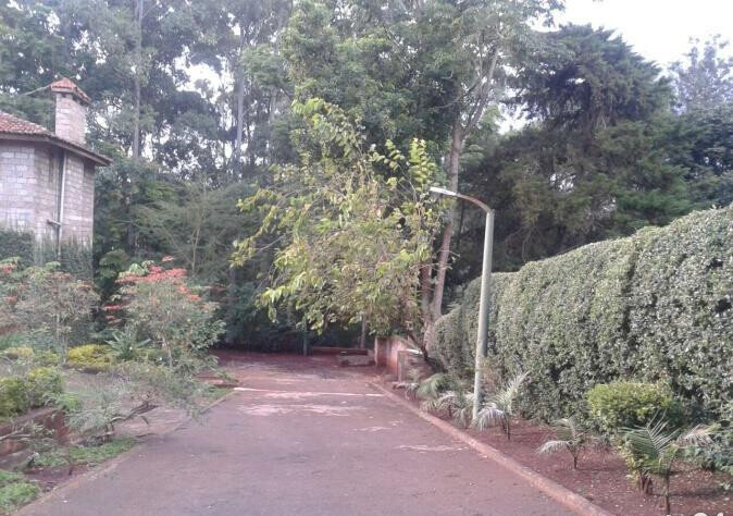1.5-Acre Spring Valley Plot with Garden