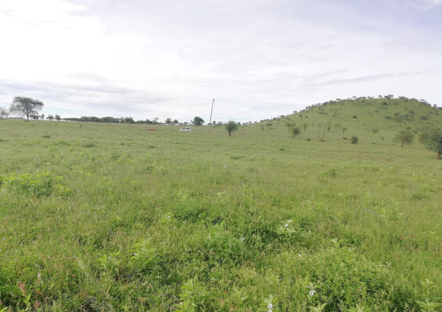 4.4-Acre Plot in Kajiado CBD at KSh 850K