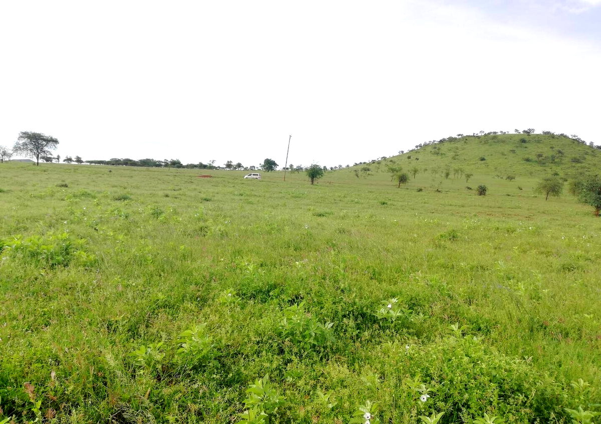 4.4-Acre Plot in Kajiado CBD at KSh 850K