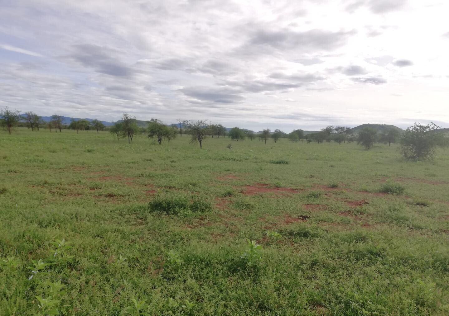 4.4-Acre Plot in Kajiado CBD at KSh 850K