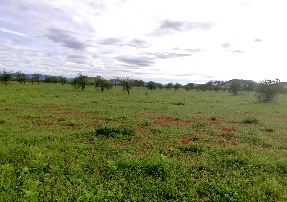 4.4-Acre Plot in Kajiado CBD at KSh 850K