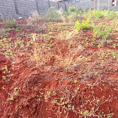 40*80ft Plots at Kenol Along Kagia Road Payable in 6 Months - Image 2