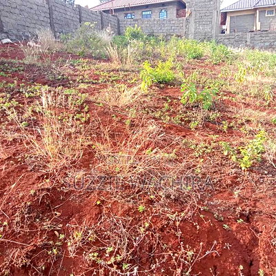 40*80ft Plots at Kenol Along Kagia Road Payable in 6 Months - Image 1