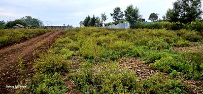 Commercial Plots for Sale in Kapsoya Lock 9 in Eldoret - Image 8
