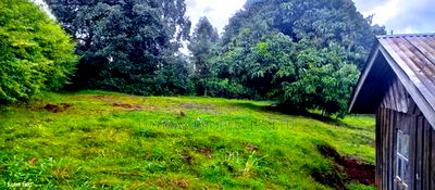 4 Acres Tea Farm on Sale in Gatura Gatanga - Image 2