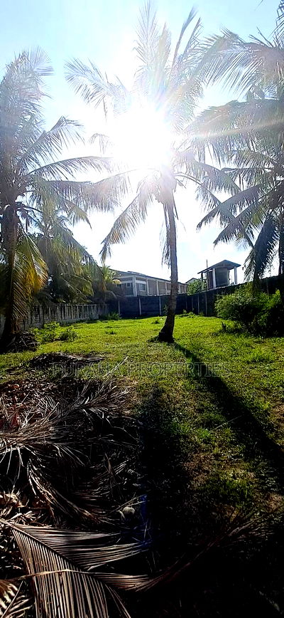 To Let Half Acre Yard Changamwe - Image 9