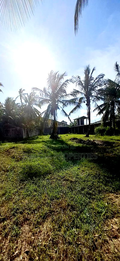 To Let Half Acre Yard Changamwe - Image 3