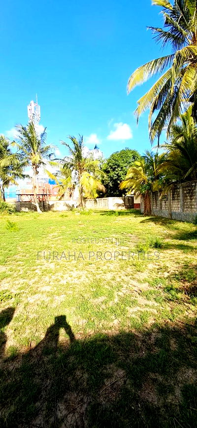 To Let Half Acre Yard Changamwe - Image 6
