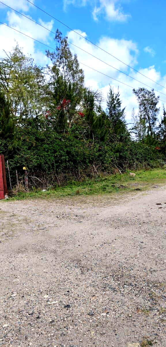 25-Acre Land with Borehole - KSh 250M