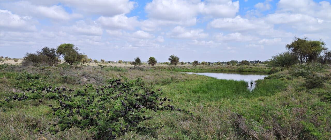 25-Acre Land with Borehole - KSh 250M
