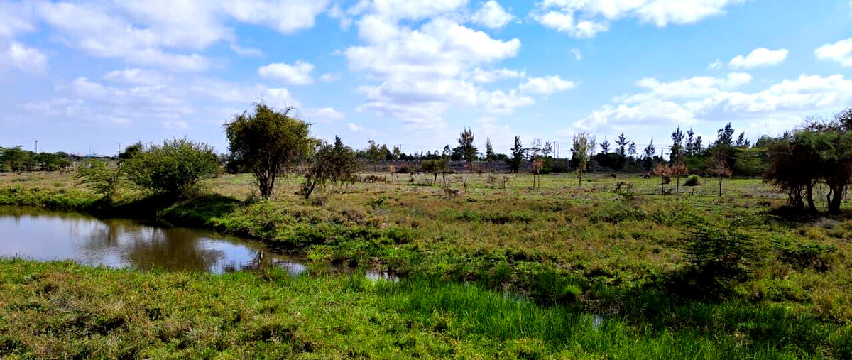 25-Acre Land with Borehole - KSh 250M