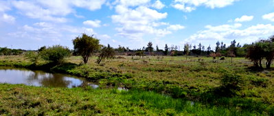 25-Acre Land with Borehole - KSh 250M