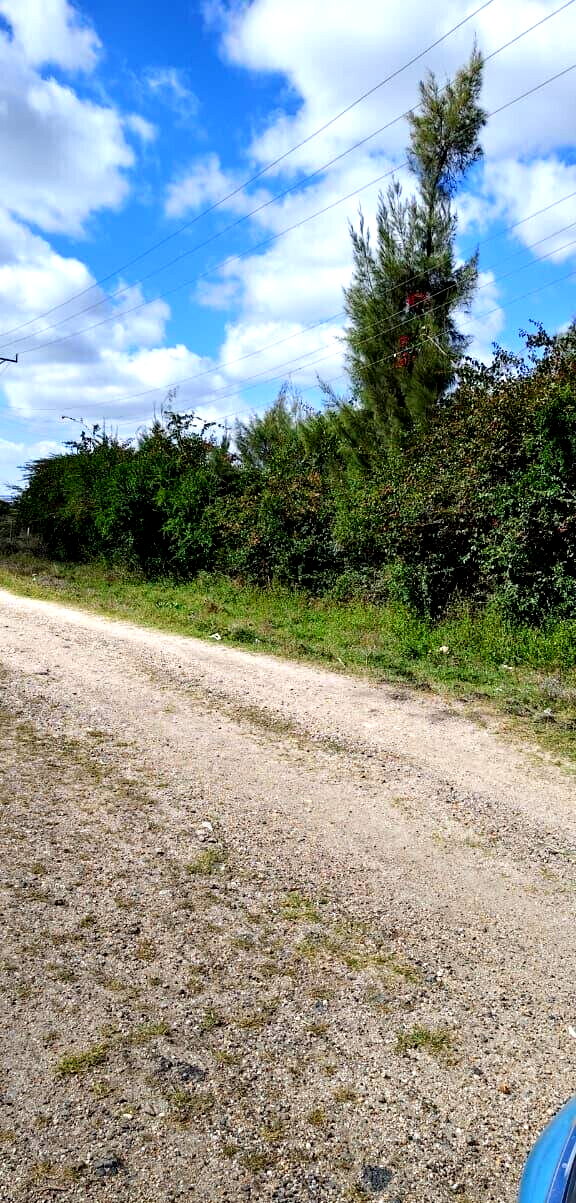 25-Acre Land with Borehole - KSh 250M