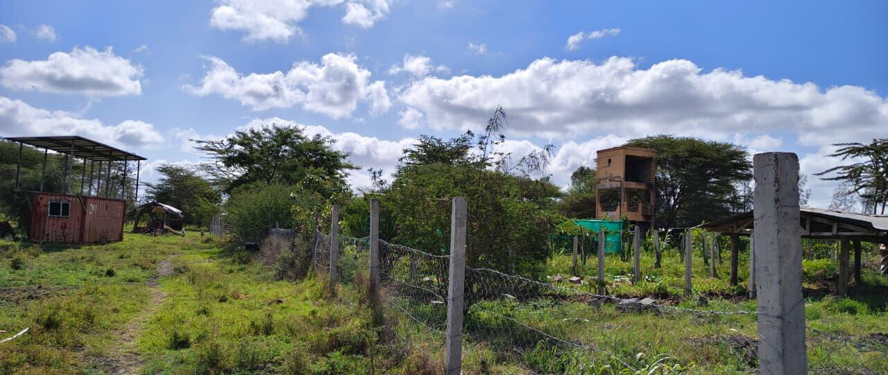 25-Acre Land with Borehole - KSh 250M