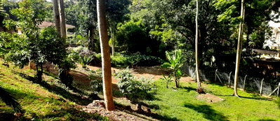 2-Acre Westlands Plot for KSh 770M