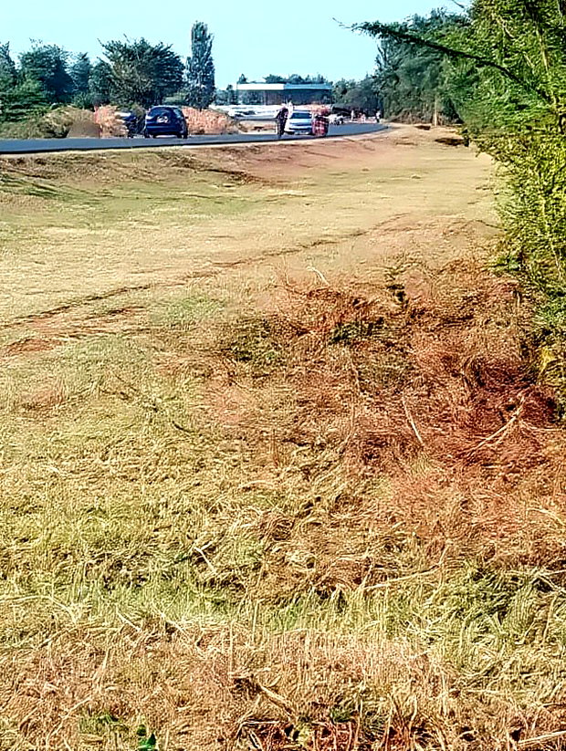 An Eighth of a Plot at Mwea Near Highway Kemri