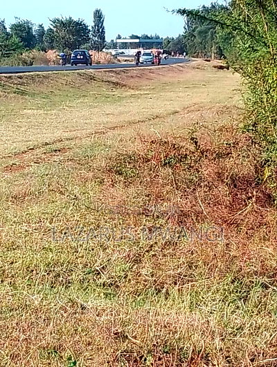 An Eighth of a Plot at Mwea Near Highway Kemri - Image 3