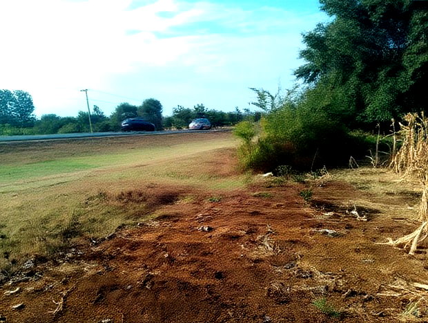 An Eighth of a Plot at Mwea Near Highway Kemri