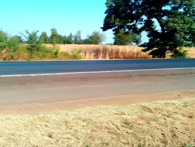 An Eighth of a Plot at Mwea Near Highway Kemri