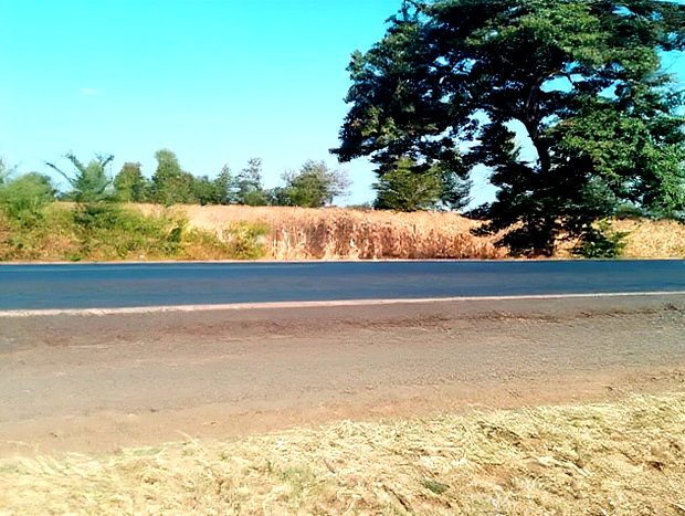An Eighth of a Plot at Mwea Near Highway Kemri