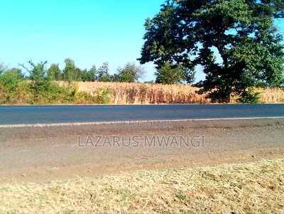 An Eighth of a Plot at Mwea Near Highway Kemri - Image 5