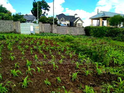 Quarter Acre Plot in Ongata Rongai Nkoroi Has Perimeter Wall - Image 1
