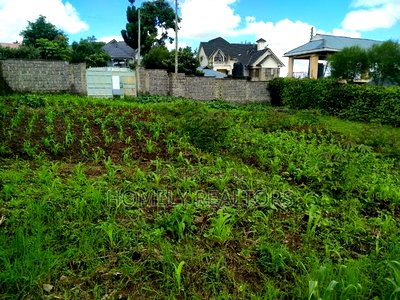Quarter Acre Plot in Ongata Rongai Nkoroi Has Perimeter Wall - Image 4