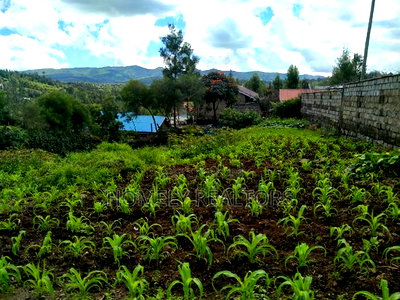 Quarter Acre Plot in Ongata Rongai Nkoroi Has Perimeter Wall - Image 6