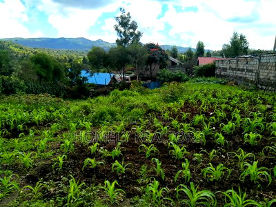 Quarter Acre Plot in Ongata Rongai Nkoroi Has Perimeter Wall - Image 3