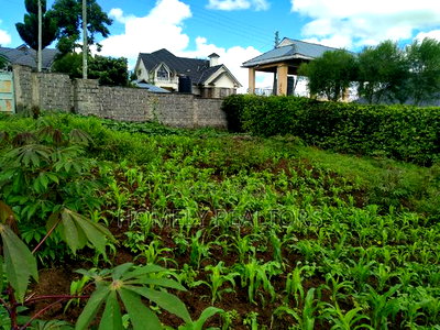 Quarter Acre Plot in Ongata Rongai Nkoroi Has Perimeter Wall - Image 5