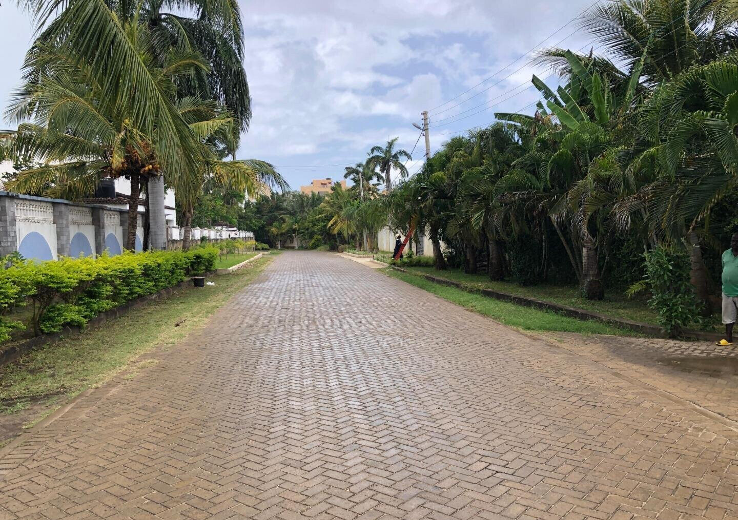 Half Acre Plot Off Mt Kenya Rd