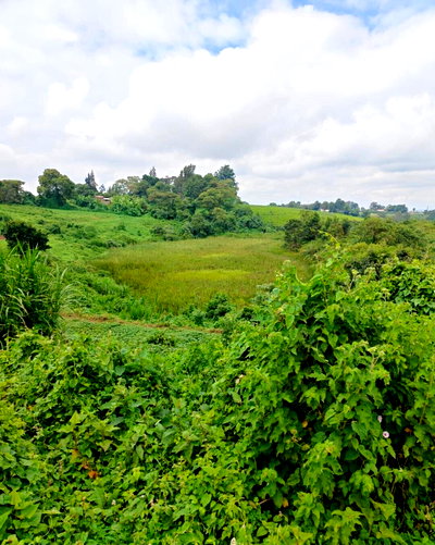 8-Acre Redhill Gem with Garden
