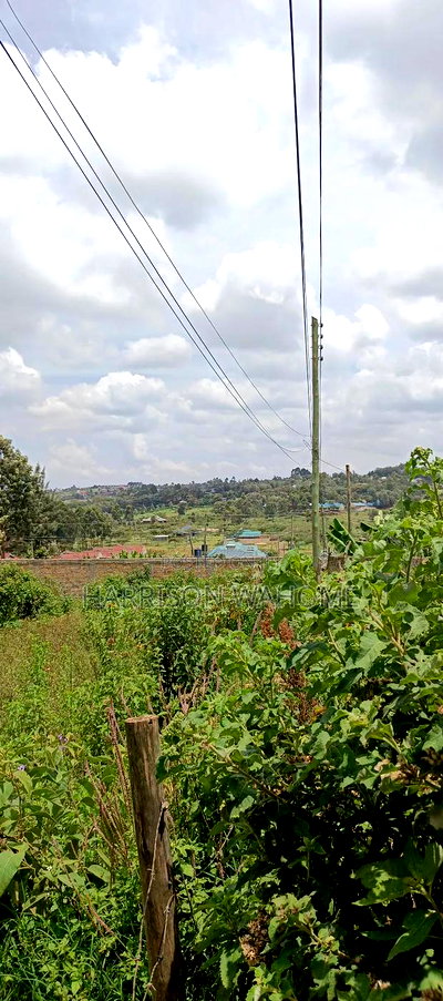 Half Acre Plot for Sale in Ngong Kibiko - Image 2