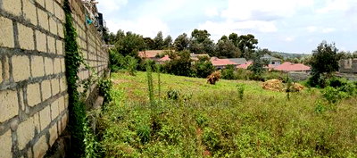 Half Acre Plot for Sale in Ngong Kibiko - Image 3