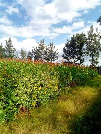 4bdrm Maisonette in Githurai for sale - Image 5