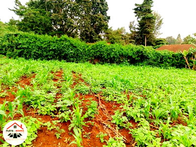 Prime Residential Plot for Sale in Kikuyu Town! - Image 8