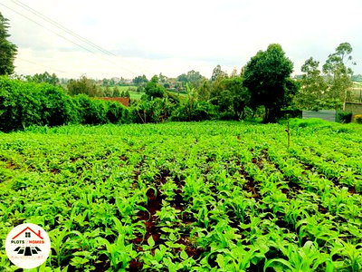 Prime Residential Plot for Sale in Kikuyu Town! - Image 6