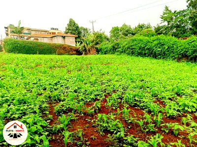 Prime Residential Plot for Sale in Kikuyu Town! - Image 3