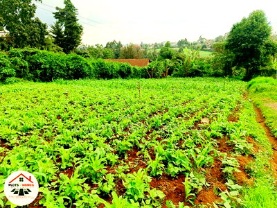 Prime Residential Plot for Sale in Kikuyu Town! - Image 7