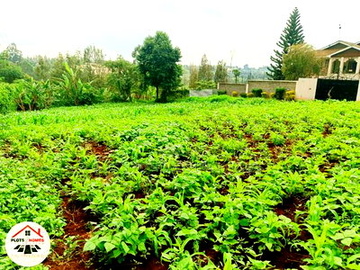 Prime Residential Plot for Sale in Kikuyu Town! - Image 5