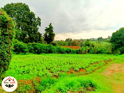 Prime Residential Plot for Sale in Kikuyu Town! - Image 9