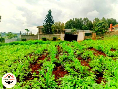 Prime Residential Plot for Sale in Kikuyu Town! - Image 4