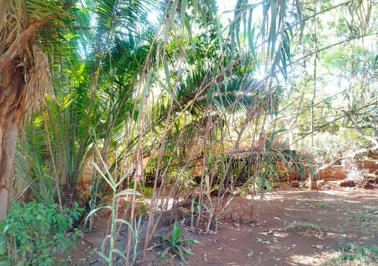 0.89 Acre Kilimani Gem for KSh 400M