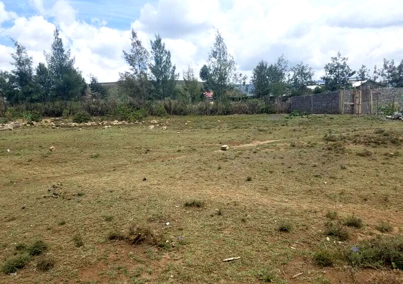 50x100 Plot Near Old Naivasha Road