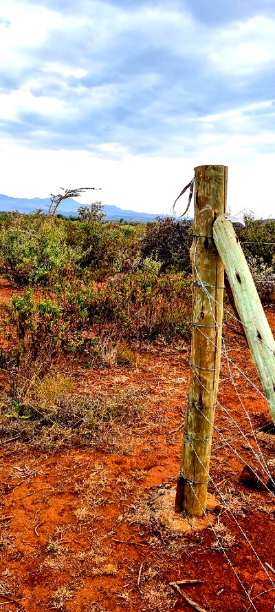 Prime Kimuka 15 Acres at 3.2m Per Acre - Image 8